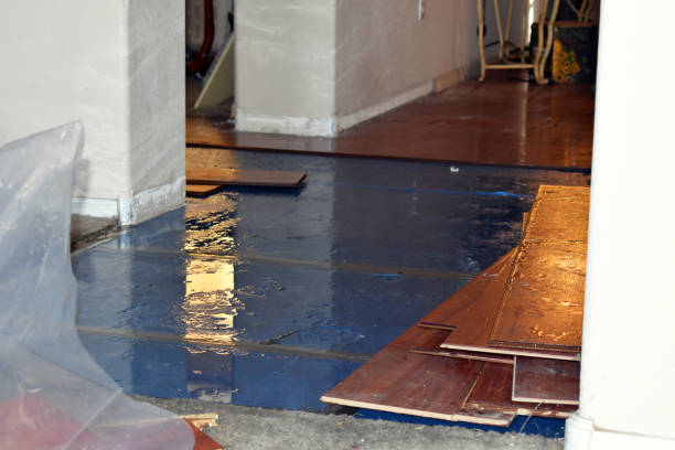 Professional Water Damage Repair technician working in Marshfield, MA